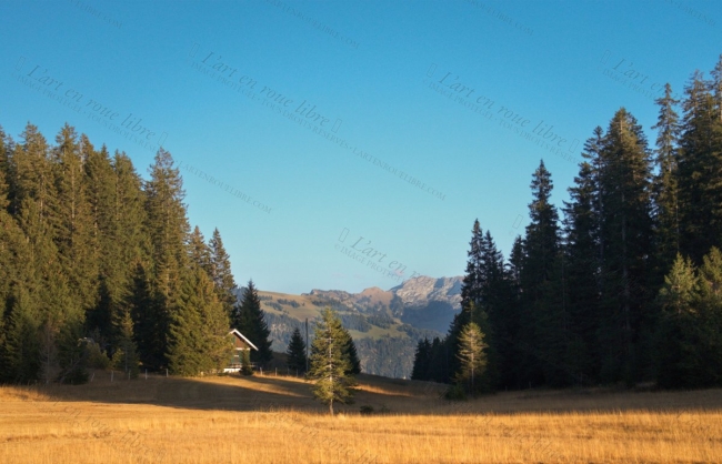 Fenêtre sur les Préalpes (500 à 1000 pièces)