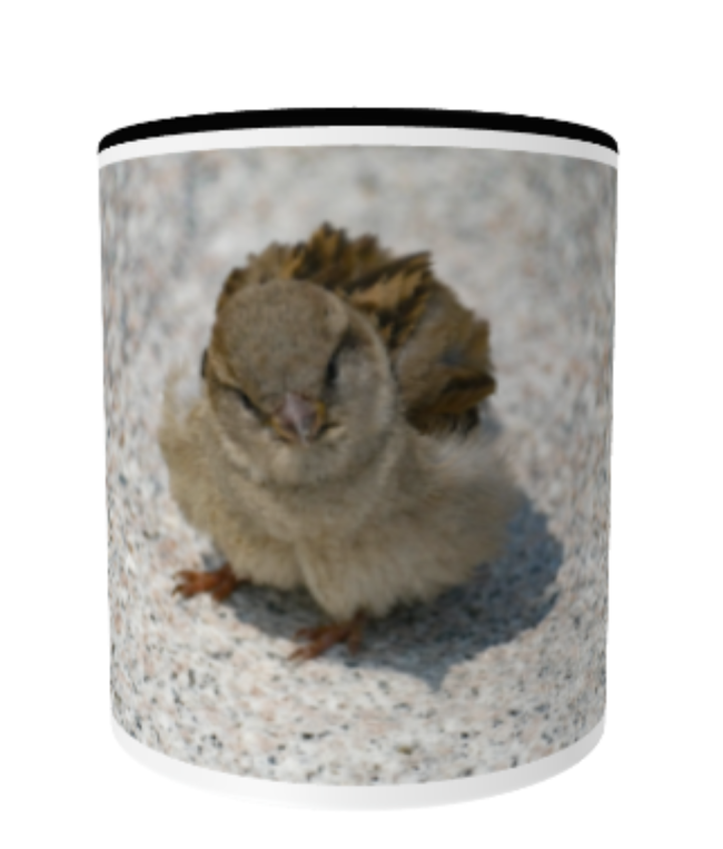 Mug magique noir - 💡 Choisissez un pack (4 ou 6) pour profiter du prix réduit