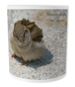 Mug magique noir - 💡 Choisissez un pack (4 ou 6) pour profiter du prix réduit